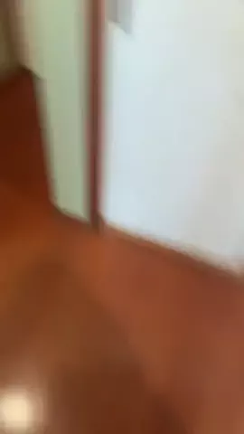 今日のじいじのTikTok投稿