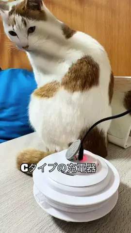 田中んちのゆゆ🍡🧸のTikTok投稿