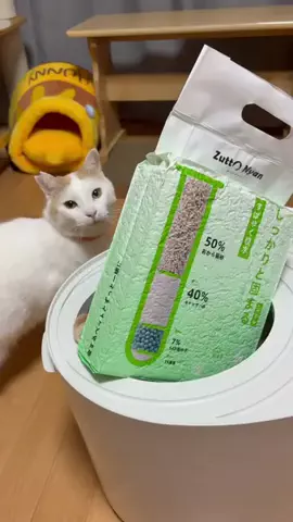 田中んちのゆゆ🍡🧸のTikTok投稿