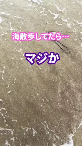 istalkのTikTok投稿