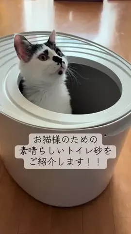 田中んちのゆゆ🍡🧸のTikTok投稿