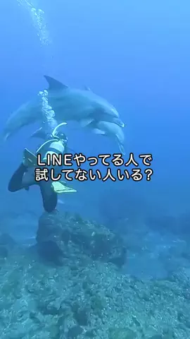 istalkのTikTok投稿