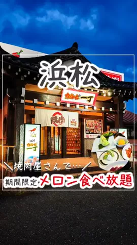 浜松グルメ｜【静岡グルメ】のTikTok投稿