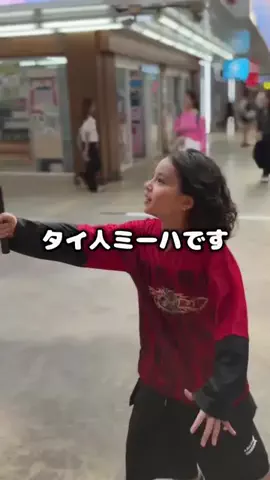 ミーハです (Meehaa)のTikTok投稿