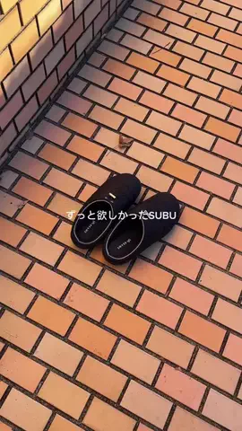 Nina Neves🇯🇵🇧🇷のTikTok投稿