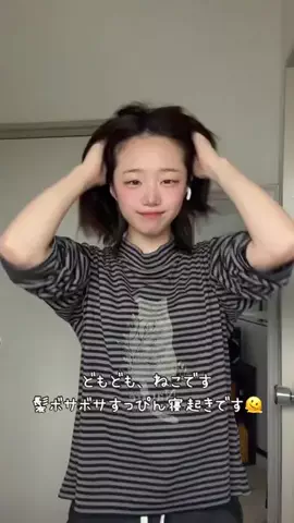 ねこみゆきのTikTok投稿