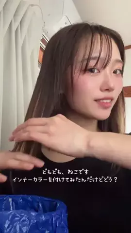 ねこみゆきのTikTok投稿