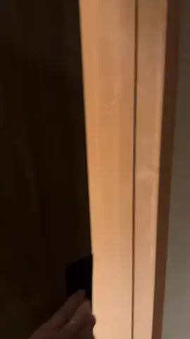 torohomeのTikTok投稿