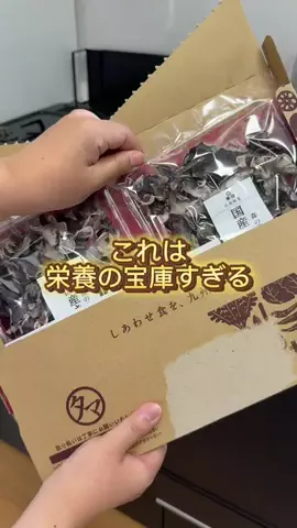 ぽぽのTikTok投稿