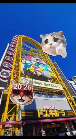 みくのTikTok投稿