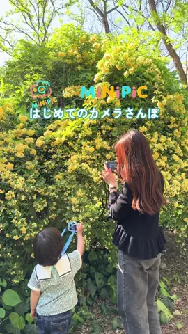 MIZUKI | 東京おでかけスポットのTikTok投稿