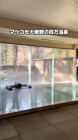 37歳おっさん旅垢のTikTok投稿