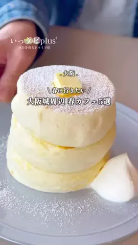 いっタビplus ︴年120日ドライブする夫婦のTikTok投稿