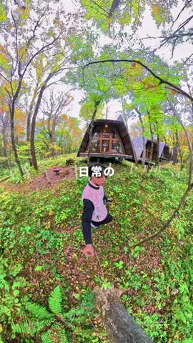 TIROのTikTok投稿