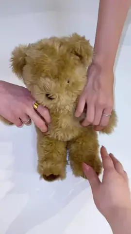 ViVi_officialのTikTok投稿