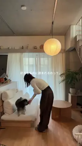 marin  ⌇ 暮らしを楽しむのTikTok投稿