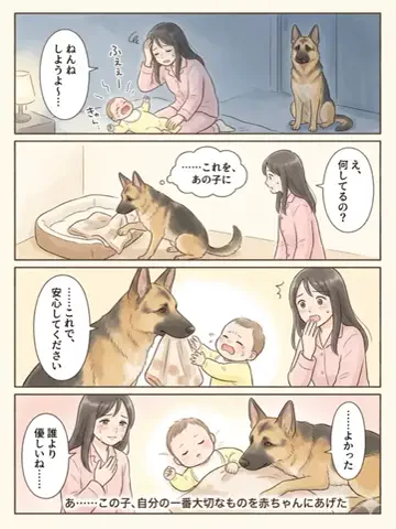都内のチワワのTikTok投稿