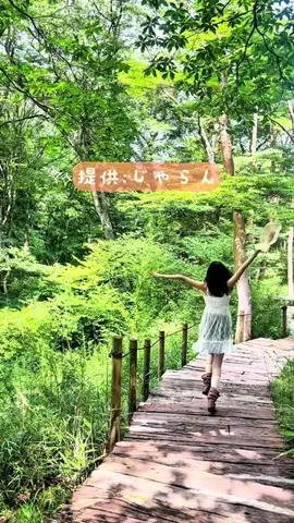 村山千夏のTikTok投稿