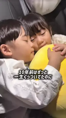 ナビ子🦋のTikTok投稿