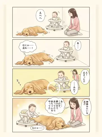 都内のチワワのTikTok投稿