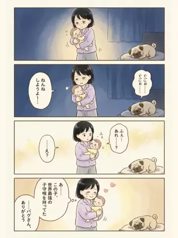 都内のチワワのTikTok投稿