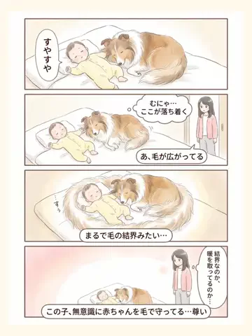 都内のチワワのTikTok投稿