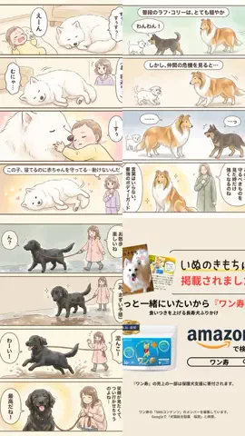 都内のチワワのTikTok投稿