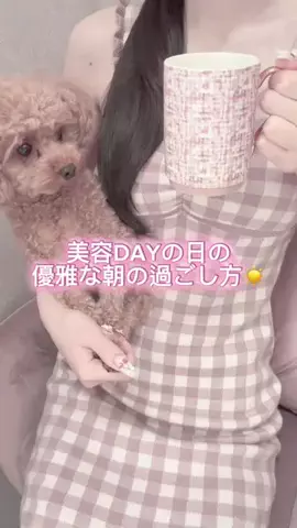 はーちゃんのTikTok投稿