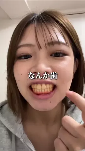 ヤマトのTikTok投稿