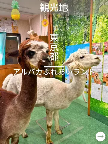 デンじょーの旅のTikTok投稿