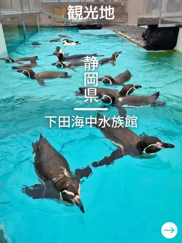デンじょーの旅のTikTok投稿