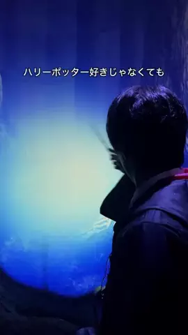 デンじょーの旅のTikTok投稿