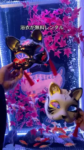 デンじょーの旅のTikTok投稿