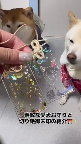 ３柴のママ🐶💓🐾のTikTok投稿