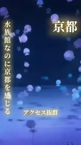 寝不足夜更かしバリトンのTikTok投稿