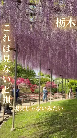 寝不足夜更かしバリトンのTikTok投稿
