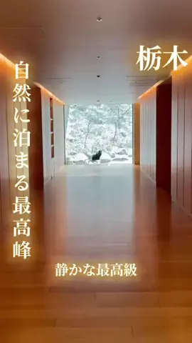 寝不足夜更かしバリトンのTikTok投稿