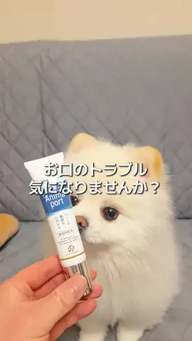 GODZILLAのTikTok投稿