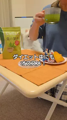 GODZILLAのTikTok投稿