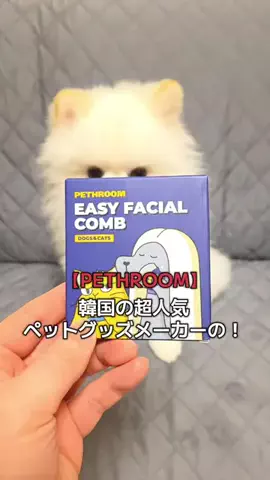 GODZILLAのTikTok投稿