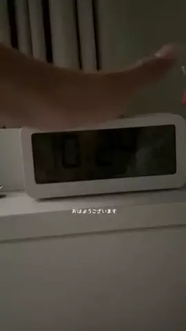 わんわんのTikTok投稿