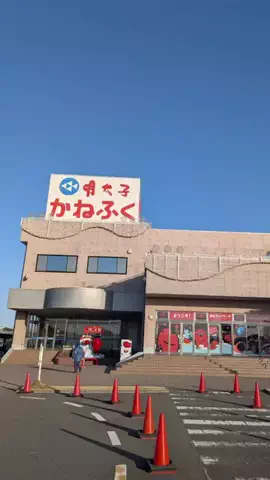 スカイ//旅と暮らしのQOL向上委員会のTikTok投稿