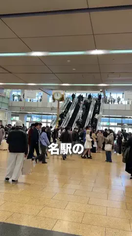 名古屋グルメ【ナゴグル】🍤のTikTok投稿