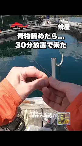 伊勢志摩つりとも研究所のTikTok投稿