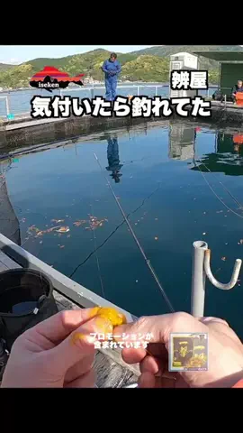 伊勢志摩つりとも研究所のTikTok投稿