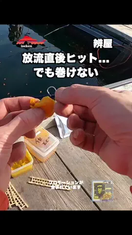 伊勢志摩つりとも研究所のTikTok投稿