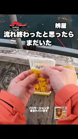 伊勢志摩つりとも研究所のTikTok投稿