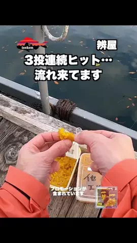 伊勢志摩つりとも研究所のTikTok投稿