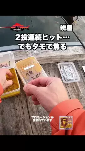 伊勢志摩つりとも研究所のTikTok投稿