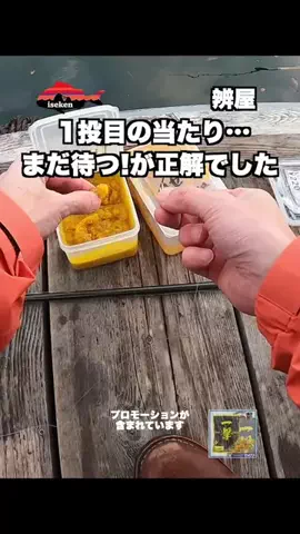 伊勢志摩つりとも研究所のTikTok投稿